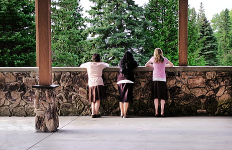 Three Pink and Brown Dress thumbnail