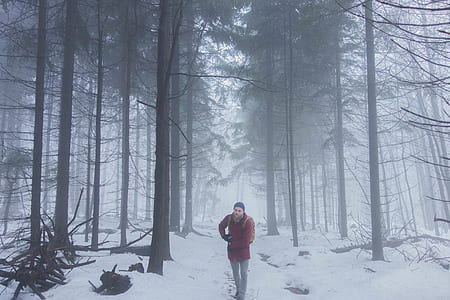 person standing in the middle of snow field forest thumbnail