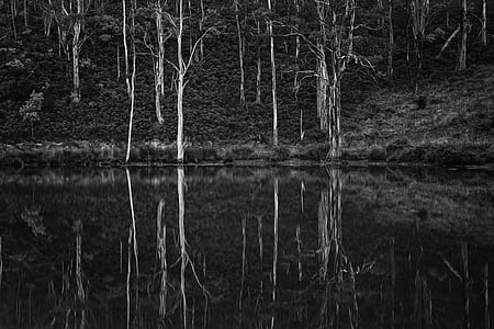 cold, black-and-white, landscape, nature thumbnail