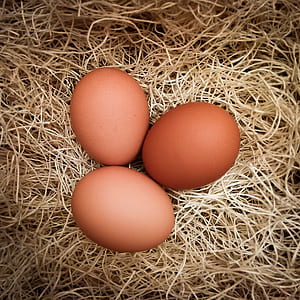 Three Brown Native Eggs thumbnail