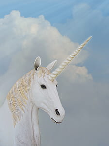 white unicorn thumbnail