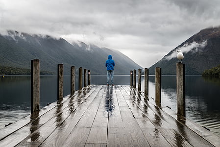 person standing on dock beside calm body of water thumbnail