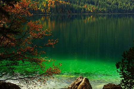 body of water near green trees at daytime thumbnail