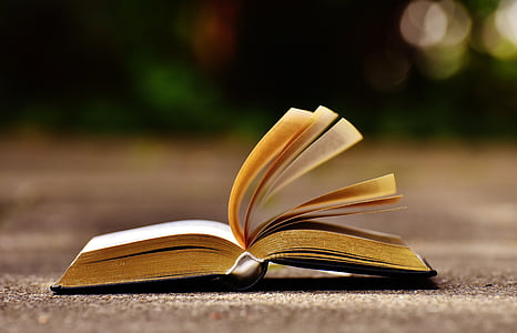 close up photograph of opened book thumbnail