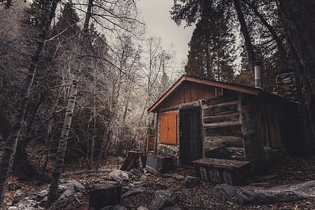 brown and black concrete house thumbnail