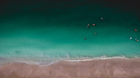 aerial view of people on beach thumbnail
