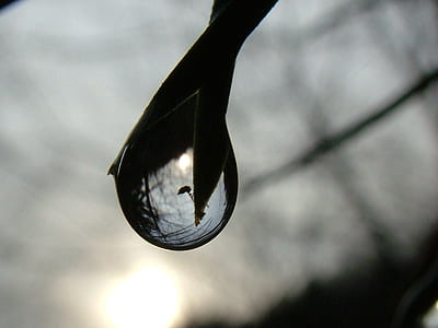 macro photography of water droplet thumbnail