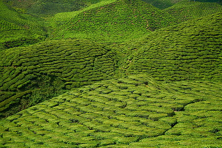 aerial photo of green mountains thumbnail
