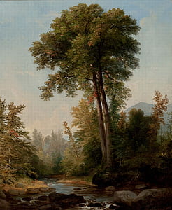 painting of green leaf tree beside river thumbnail
