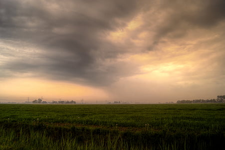 green grass field under gray sky thumbnail