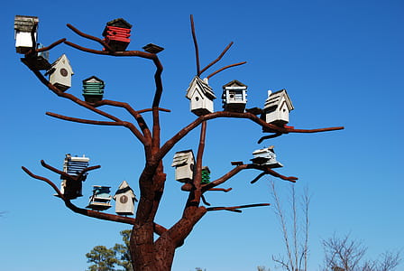 assorted-color bird house on tree photography thumbnail
