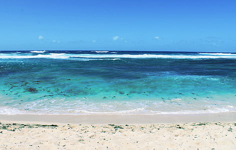 seashore during daytime thumbnail