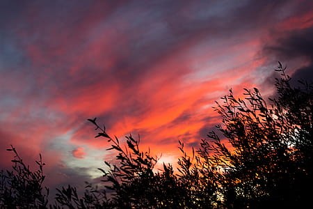 Brown Clouds during Sunset thumbnail