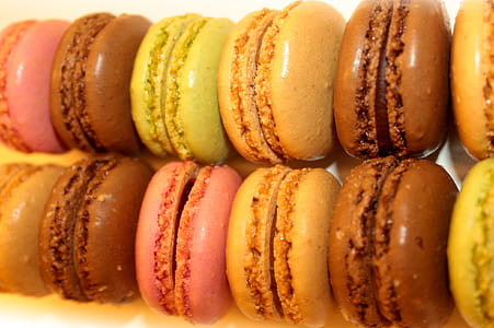 Sweets and Cookies - Rows of French Macaroons thumbnail