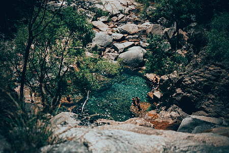 person standing beside tree and body of water thumbnail