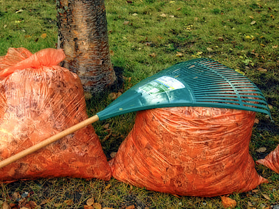 green steel rake on orange plastic bag filled with dried leaves thumbnail