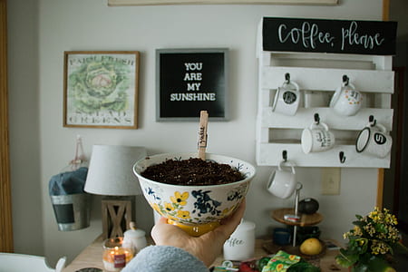 person holding white and blue floral bowl thumbnail