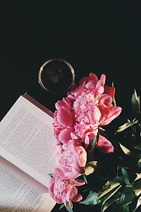 pink petaled flowers near book thumbnail