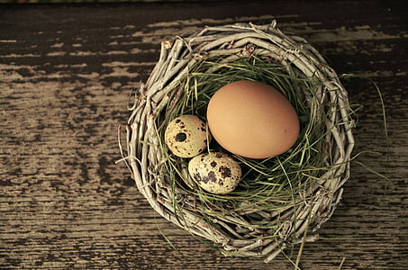 quail and chicken egg thumbnail
