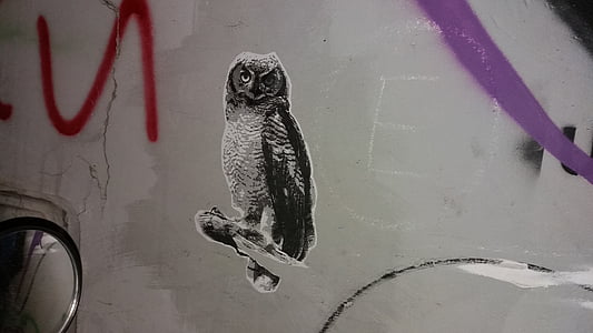 owl decal thumbnail