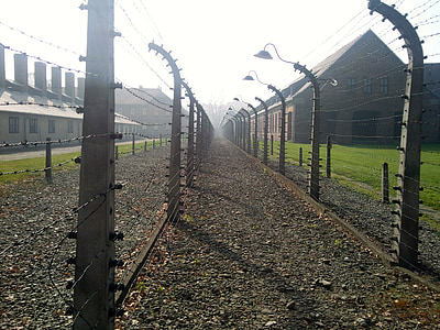 empty pathway beside fences at daytime thumbnail