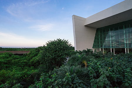 Forest Beside White Building Under Clear Sky thumbnail