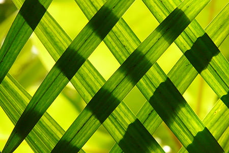 close up photography of woven leaves wallpaper thumbnail