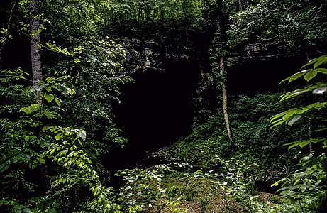 Entrance to Russell Cave in Alabama thumbnail