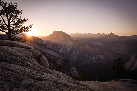 low angle view of silhouette of tree on mountain thumbnail