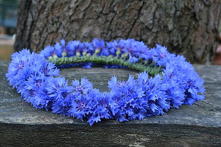 blue floral wreath on gray bench thumbnail