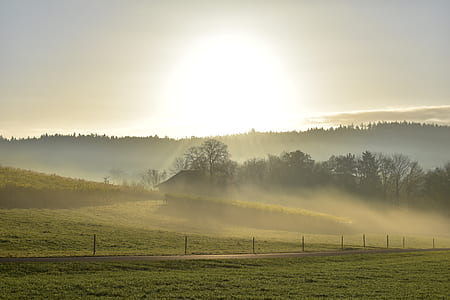 green trees and grass during sunset thumbnail