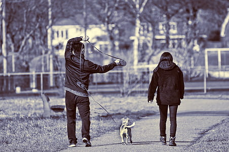 two person walking with dog near trees thumbnail