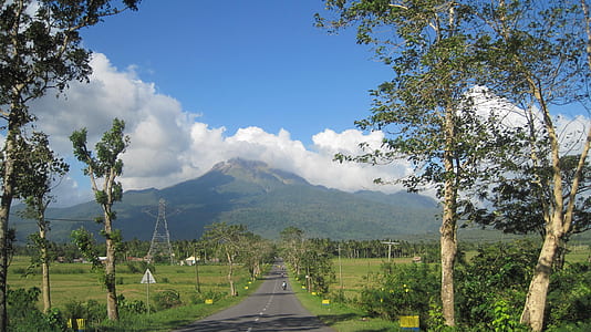 pathway leading to mountain thumbnail
