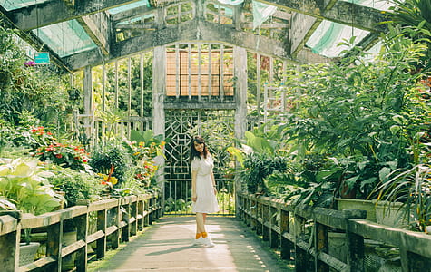 Woman Standing Inside Green House thumbnail