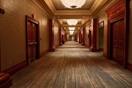 hallway beside brown wooden doors thumbnail