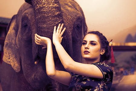 Woman Touching the Elephant Photography thumbnail