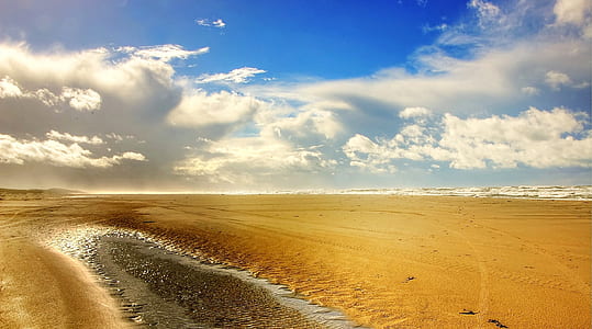 water swamp placed on dessert under cloudy thumbnail