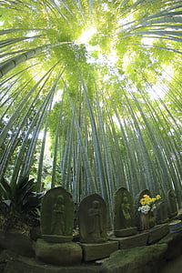 stone monuments beside bamboo grasses at daytime thumbnail