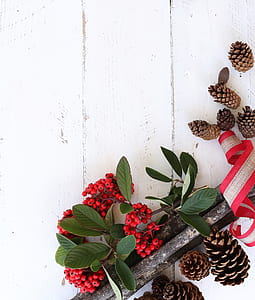Red Fruits and Brown Pine Cones on White Wooden Surface thumbnail