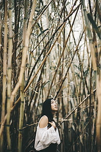 woman under brown bamboo forest thumbnail