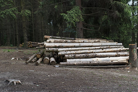 pile of log thumbnail