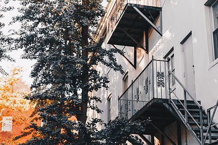 tree beside building at daytime photo thumbnail