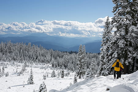 person walking in front of tree outdoors thumbnail