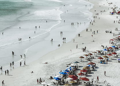 bird's-eye view of group of people on beach thumbnail