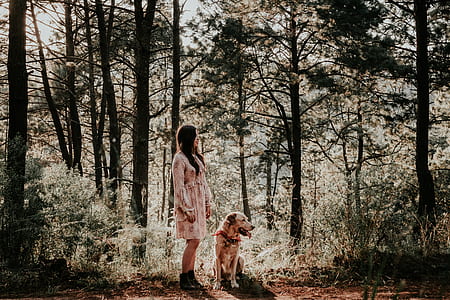 woman and dog looking at tree during daytime thumbnail