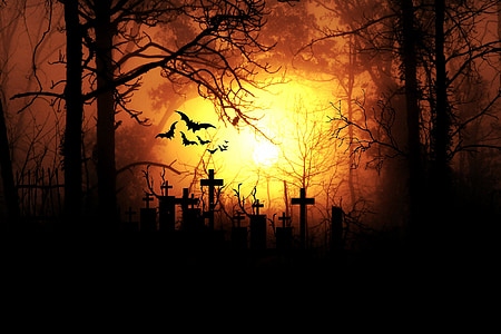 cross tombstones, trees, and bats silhouettes during golden hour thumbnail