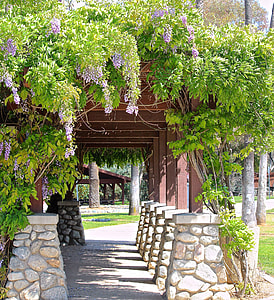 brown wooden gazebo at the garden thumbnail