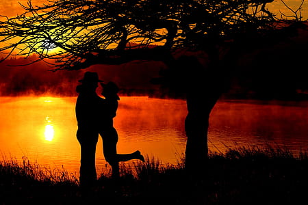 silhouette photo of couple hugging near body of water thumbnail