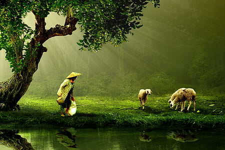 person wearing rice hat standing near body of water thumbnail