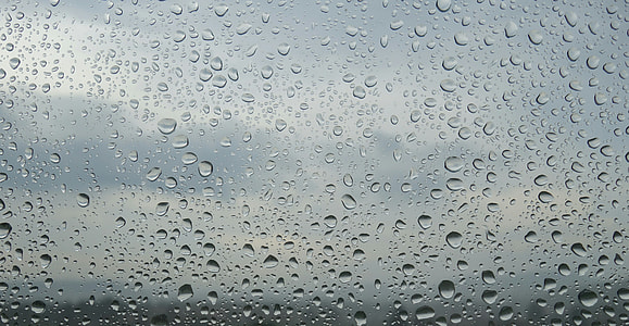 close-up photo of dew drops thumbnail